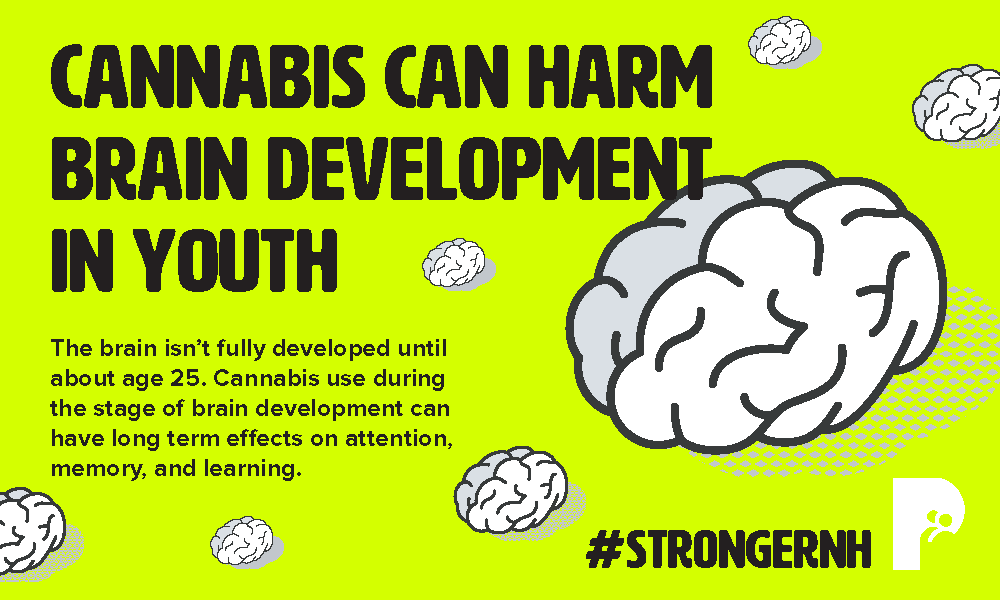 Cannabis Can Harm Brain Development In Youth - Stronger Than You Think - campaign palm card