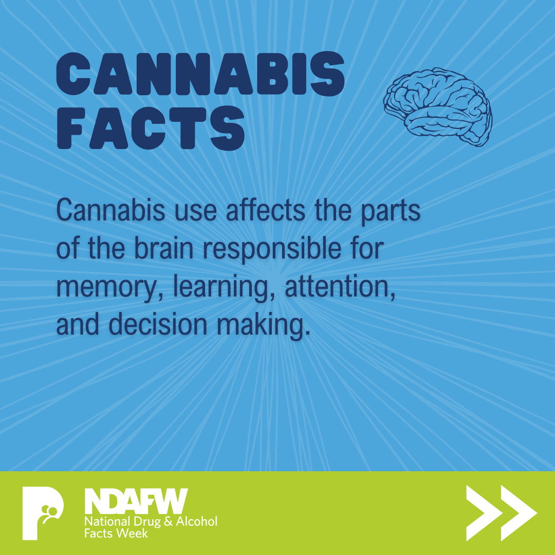 CANNABIS FACTS | Cannabis use affects the parts of the brain responsible for memory, learning, attention, and decision making.